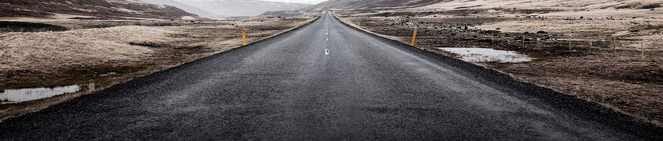 Literatură și delicatese